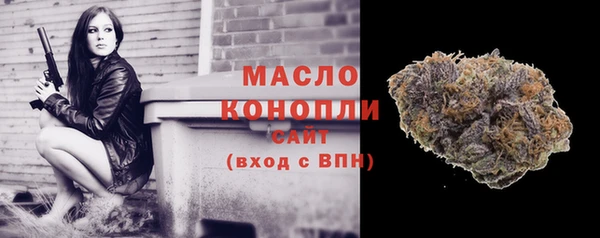 молекула духа Осташков