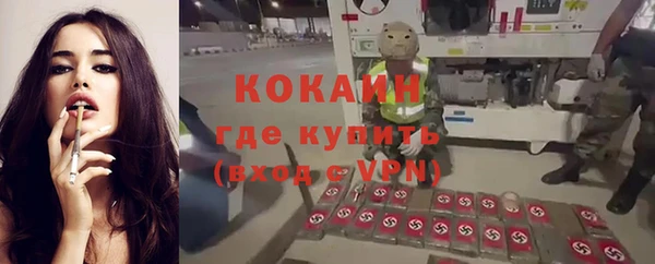 молекула духа Осташков