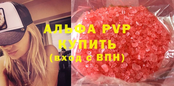 ECSTASY Алзамай
